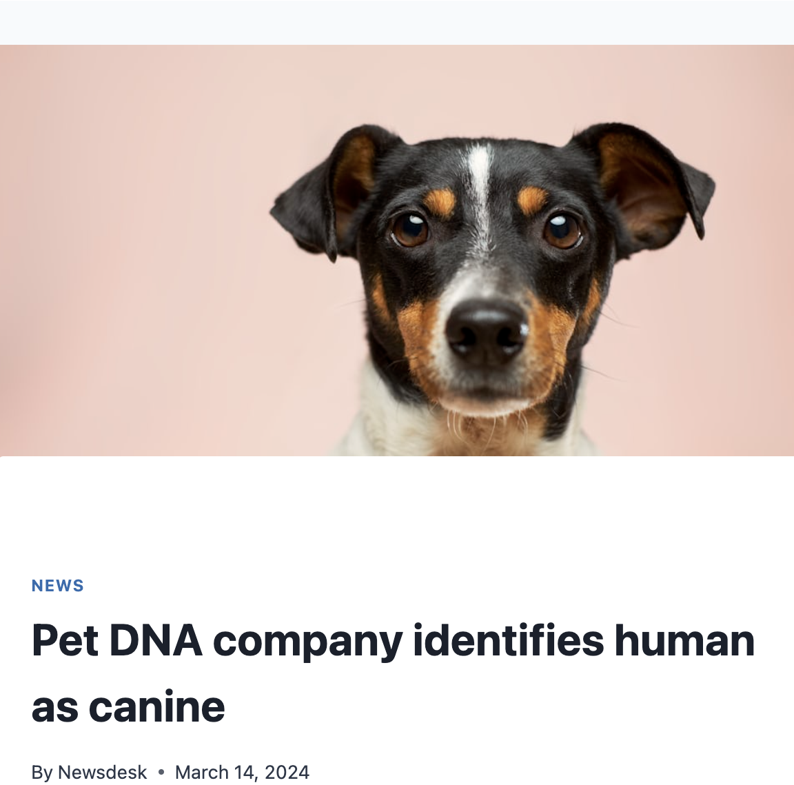 dog hd - News Pet Dna company identifies human as canine By Newsdesk